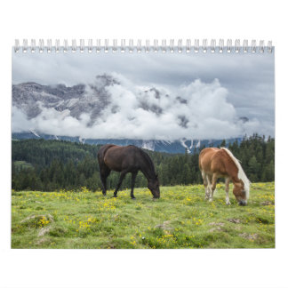 Chevaux-kalender Kalender