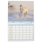 Chevaux-kalender Kalender (Jan 2026)