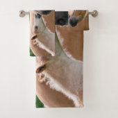 Chevaux mignons poulain de Haflinger et baiser de (En situation)