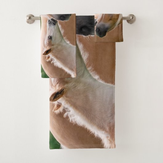 Chevaux mignons poulain de Haflinger et baiser de (En situation)