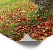 Chevaux, Montagnes, Poster d'automne (Coin)