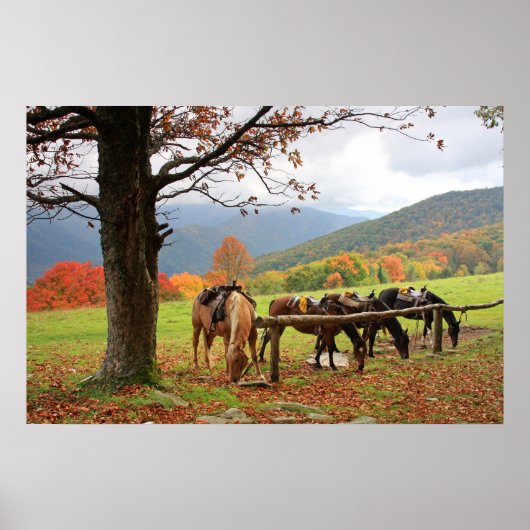 Chevaux, Montagnes, Poster d'automne (Devant)