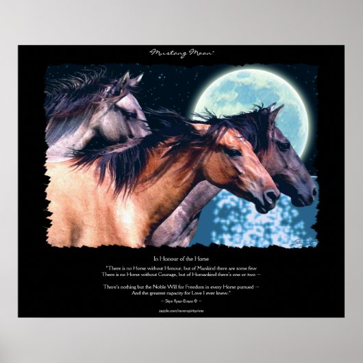 Chevaux Mustang Espagnol Sauvage Poster & Art (Devant)