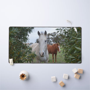 Chevaux Peekaboo, Mat de bureau