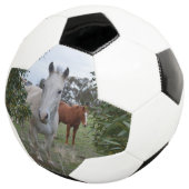 Chevaux Peekaboo, Soccerball (3/4)