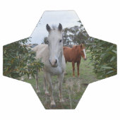 Chevaux Peekaboo, Soccerball (Plat)
