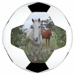 Chevaux Peekaboo, Soccerball