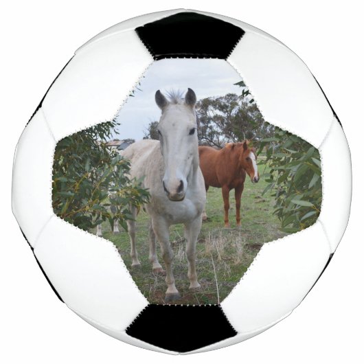 Chevaux Peekaboo, Soccerball (Devant)