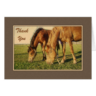 Chevaux peints en Merci