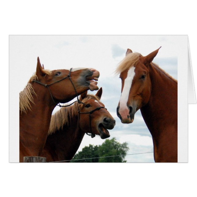 Chevaux riant (Devant horizontal)