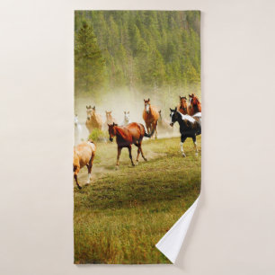 Chevaux sauvages