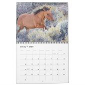 Chevaux sauvages, calendrier (Jan 2027)