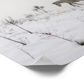 Chevaux Sauvages Dans La Neige Valeur Poster Papie (Coin)