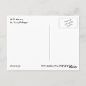 Chevaux sauvages d'Assateague 1 carte postale (Dos)