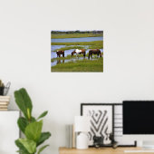 Chevaux sauvages d'Assateague Affiche (Bureau à domicile)