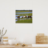 Chevaux sauvages d'Assateague Affiche (Cuisine)