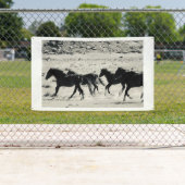CHEVAUX SAUVAGES DE BANNIÈRE DE L'UTAH AVEC DES (En situation)