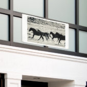 CHEVAUX SAUVAGES DE BANNIÈRE DE L'UTAH AVEC DES (Bâtiment extérieur)