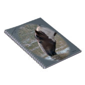 Chevaux sauvages de carnet de lavabo de sable (Côté Droit)