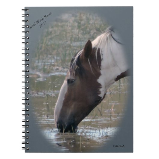 Chevaux sauvages de carnet de lavabo de sable (Devant)