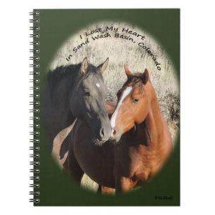 Chevaux sauvages de carnet de lavabo de sable