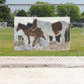 CHEVAUX SAUVAGES DE LA BANNIÈRE HERD DE L'UTAH ONA (En situation)