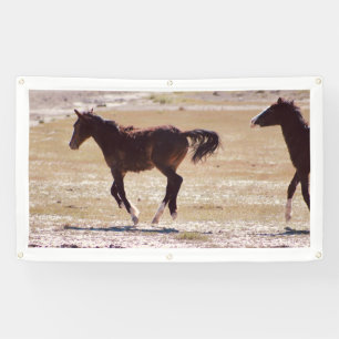 CHEVAUX SAUVAGES de la bannière W/GROMMETS de