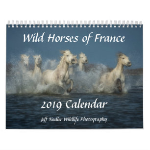 Chevaux sauvages de la France - calendrier mural