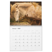 Chevaux sauvages de la France - calendrier mural (Jan 2027)