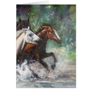 Chevaux sauvages de la rivière Salt