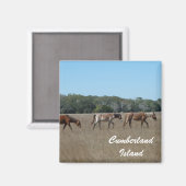 Chevaux sauvages de l'île Cumberland Magnet photo  (Recto/Verso)