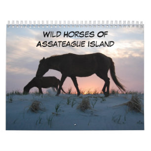 Chevaux Sauvages De L'Île D'Assateague Calendrier