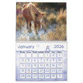 Chevaux Sauvages De L'Île D'Assateague Calendrier (Jan 2026)
