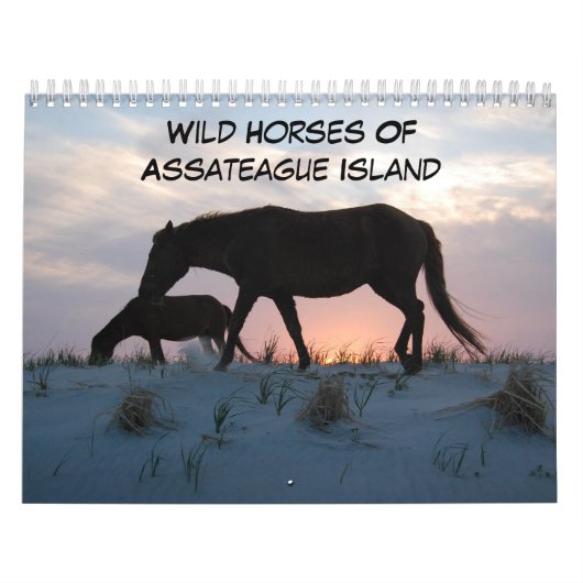 Chevaux Sauvages De L'Île D'Assateague Calendrier (Protection)