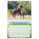 Chevaux Sauvages De L'Île D'Assateague Calendrier (Mar 2026)
