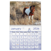 Chevaux Sauvages De L'Île D'Assateague Calendrier (Jan 2026)