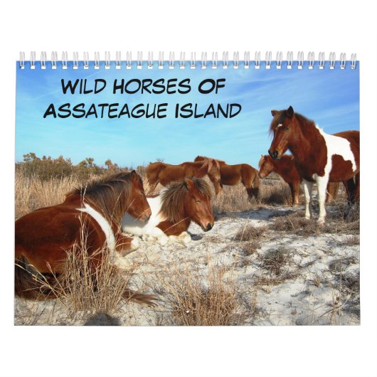 Chevaux Sauvages De L'Île D'Assateague Calendrier (Protection)