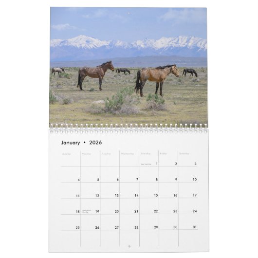 Chevaux sauvages de l'Onaqui - Calendrier 2024 (Jan 2026)