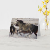 CHEVAUX SAUVAGES DE L'UTAH ONAQUI DÉSERT LA CARTE (Fleur jaune)