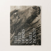 Chevaux sauvages de puzzle d'île de sable (Vertical)