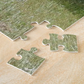 Chevaux sauvages, faune, puzzle (Côté)