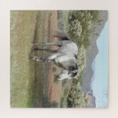 Chevaux sauvages, faune, puzzle (Horizontal)