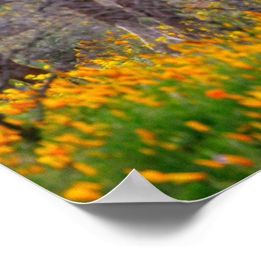 Chevaux sauvages | Impression de l'affiche d'art m (Coin)