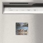 Chevaux sur la plage Magnet (In Situ (Lave-vaisselle))