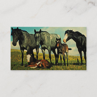 Chevaux vintages Cartes de visite