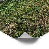 Chevelle SS Poster (Hoek)