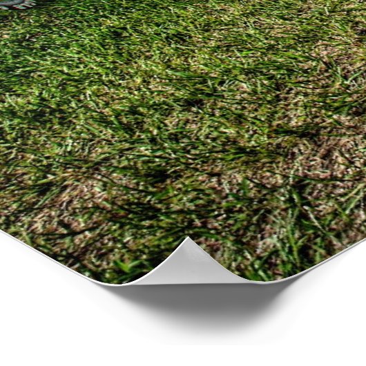 Chevelle SS Poster (Hoek)