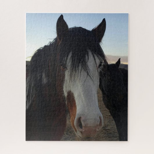 Cheveux dans les yeux puzzle (Vertical)