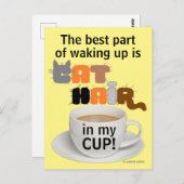 Cheveux de chat dans ma Coupe ! Carte postale Amou (Devant / Derrière)