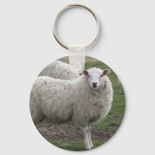 Cheviot schaap sleutelhanger (Voorkant)